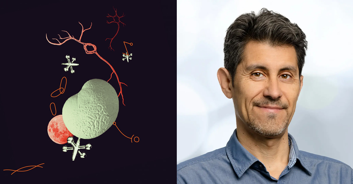 The MSCA will support 141 doctoral programmes to train and develop the skills of around 2115 doctoral candidates